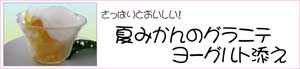 夏みかんのグラニテヨーグルト添